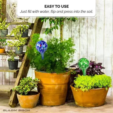 Self Watering Plant Globes For Easy Gardening While Traveling Yinz Buy