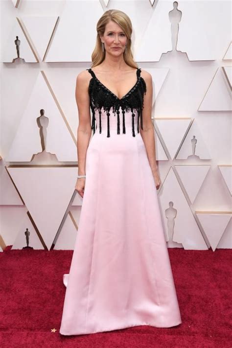 Laura Dern Fashion Hits And Misses From The 2020 Academy Awards Oscar