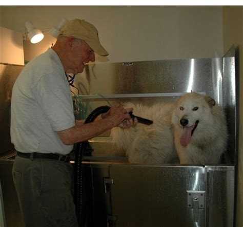We have been hunched over the edge of our bathtub trying to do a good job while our dog stares at us with sheer misery — or desperately tries to avoid the whole. Self Serve Dog Wash | Dog Boarding - Grooming - Training ...
