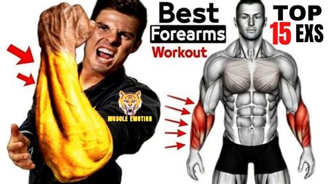 15 Best Exercises For Bigger Forearms Workout Youtube