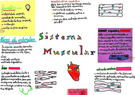 A Poster With The Words Mapa Mental Sistema Muscular The Best Porn Website