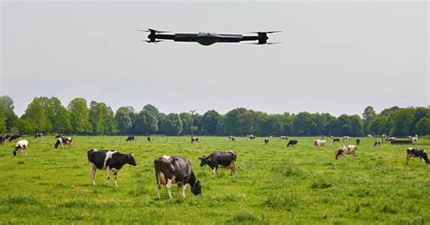 Best Drone Features For Tracking Cattle