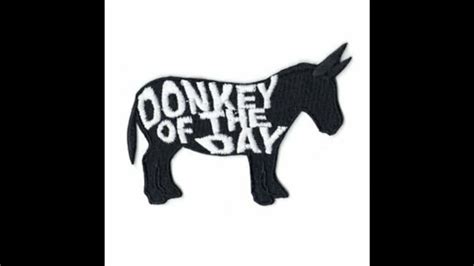 Donkey Of The Day October 19 Youtube