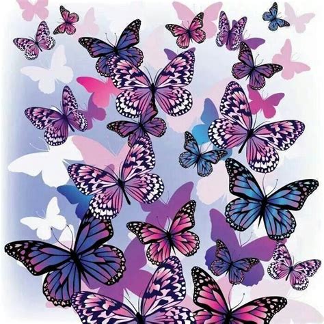 Bunch Of Butterflies Butterfly Pictures Butterfly Art Butterfly