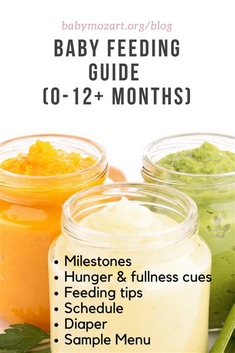 Babys Nutritional Needs Month By Month Baby Feeding Guide 0 12 Months