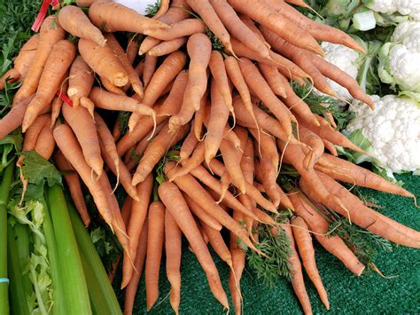 Fresh Carrots Free Stock Photo Public Domain Pictures