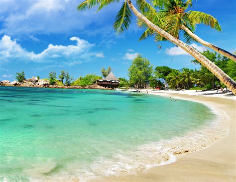 Dengan demikian maka apa yang ada di balik tingkah laku manusia merupakan hal yang pokok bagi penelitian kualitatif. Pemandangan pantai Cahaya Matahari Laut Imej Latar ...