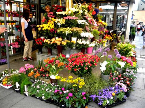 Looking to send fresh flowers or gifts delivery to ad dammam, we are your local flower shop for affordable flower delivery across ad dammam. Flower Shop Part 2 - We Need Fun