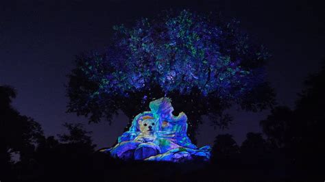 Holiday Tree Of Life Awakenings 4k Full Show Animal Kingdom 2019 Walt