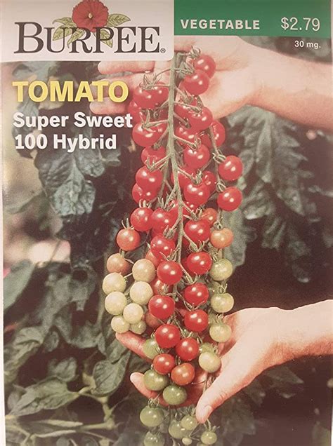Burpee Seeds Tomato Cherry Hybrid 1 Count Vegetable