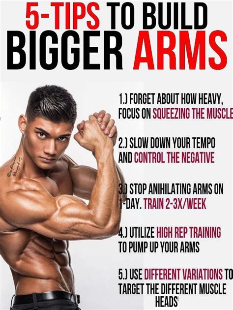 Build Bigger And Stronger Arms With The Ultimate Bulking Stack