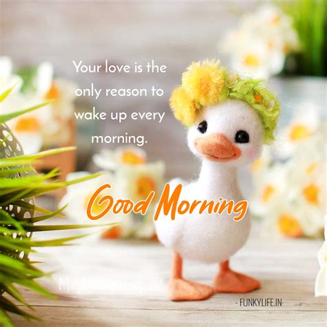 Cute Ways To Say Good Morning Cute Morning Quotes Kulturaupice