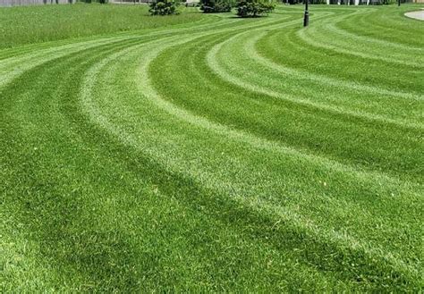 How To Mow Stripes In Your Lawn Like A Ballpark