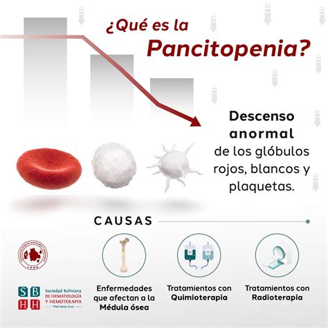 La Sociedad Boliviana De Hematología Y Hemoterapia Facebook