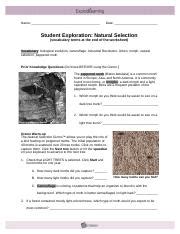 Student exploration stoichiometry gizmo pdf file: Gizmo Natural Selection Answer Key Pdf + My PDF Collection 2021