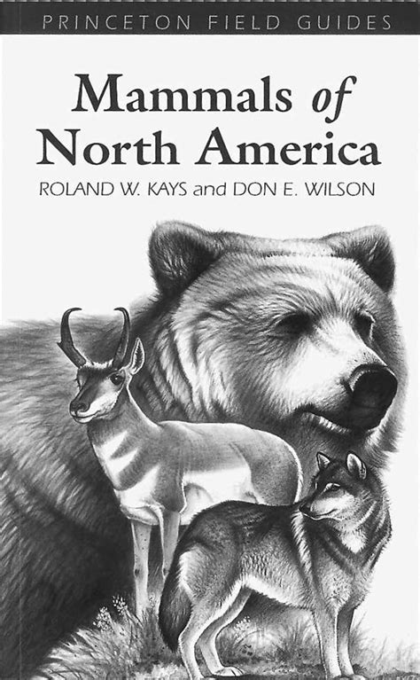 Mammals Of North America Adirondack Explorer