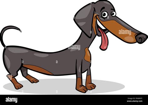 Cartoon Illustration Of Cute Purebred Dachshund Dog Stock Vector Image