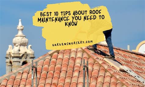 Best 10 Tips About Roof Maintenance You Need To Know Gardens Nursery
