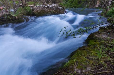 Premium Photo Beautiful Small River In Forest