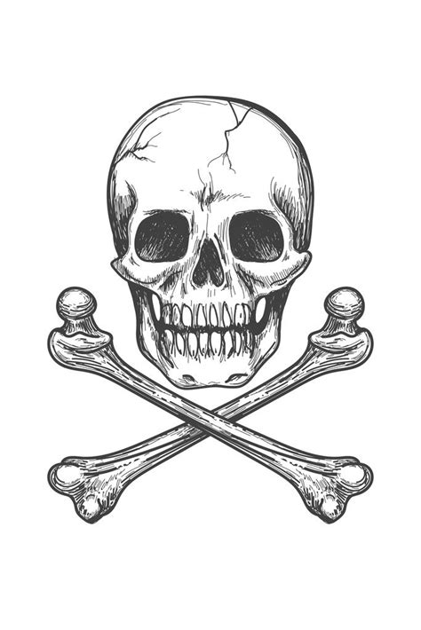 Skull Bones Crossbones Detailed Artistic Drawing Mural Inch Poster