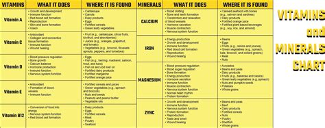 Vitamins And Minerals Chart Printable Top Vitamins And Minerals Hot Sex Picture