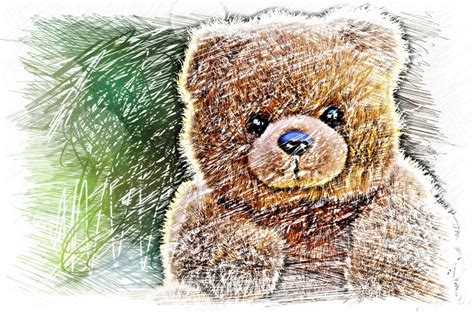 Free Images Sweet Cute Mammal Colorful Brown Bear Teddy Bear