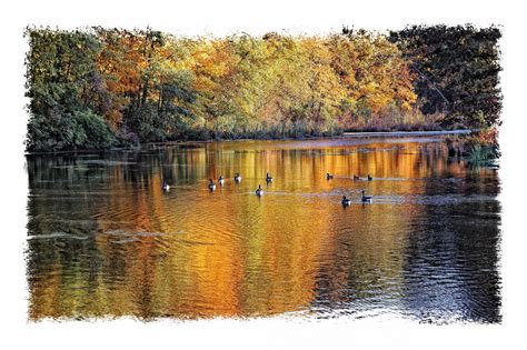 Autumn Pond Shutterbug