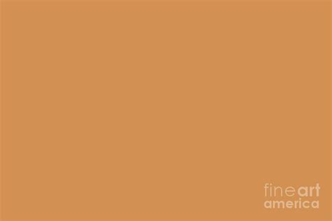 Dunn Edwards 2019 Curated Colors Brushed Clay Warm Brownish Orange