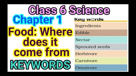 Class 6 Science Chapter 1 Food Where Does It Come From Keywords Youtube