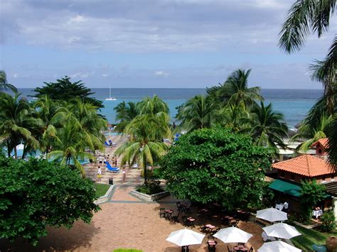 Image Spa Town Ocho Rios Jamaica Palm Trees Cities