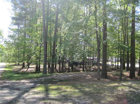 Whether you're exploring the local area or hanging out at the campground, koa holidays are an ideal place to relax and play. 24 of the Best Camping Sites in Arkansas - Flavorverse