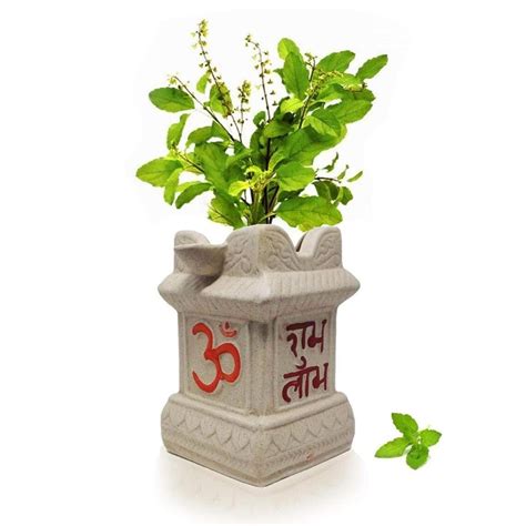 Ceramic Tulsi Pot White Medium For Garden Decorhome Decor Etsy