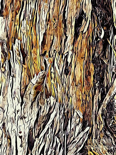 Oak Tree Bark Digital Art By Vibrant Grafx Fine Art America