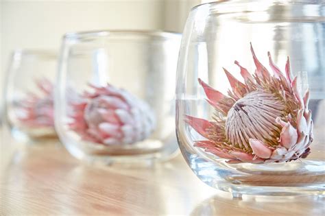 Proteas In Glass Vases Beautiful Wedding Bouquets In 2019 Protea