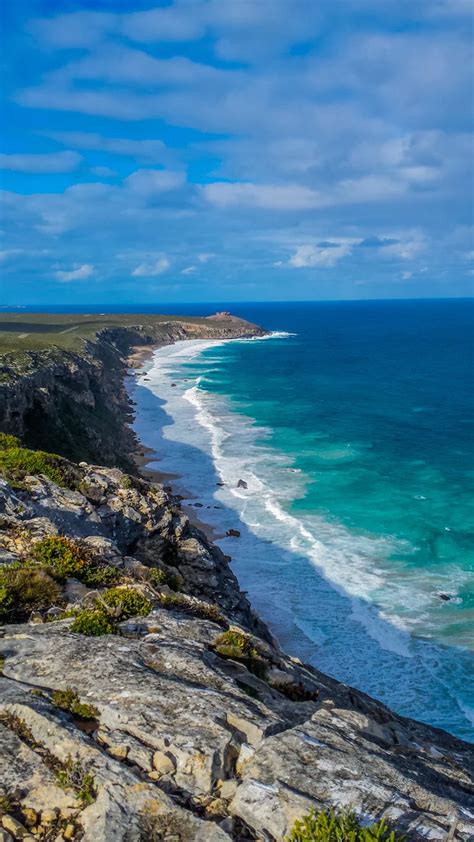 Things To Do In Kangaroo Island South Australia Beeloved City South
