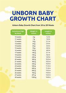 Free Baby Growth Chart Template Download In Pdf Template Net
