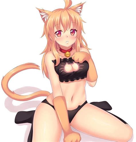 Cat Girl Tuesday 3 Anime Amino