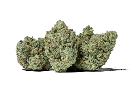 Gorilla Glue 5 — Mohave Cannabis Co