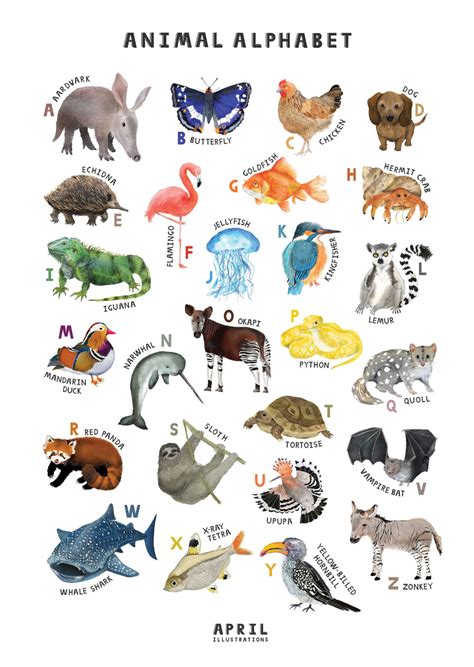 Animal Alphabet A2 Poster Animal Art Print Etsy Abc Poster Alphabet