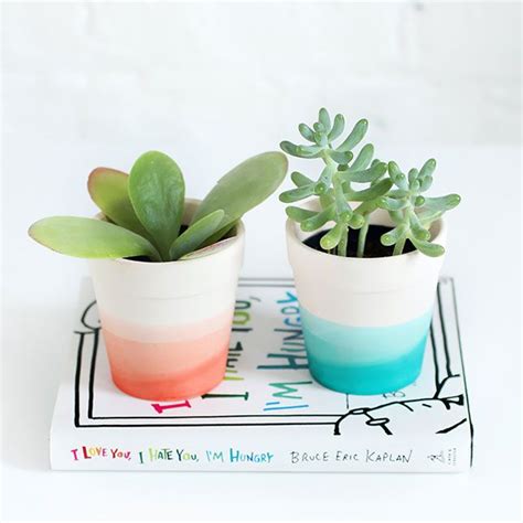 15 Diy Party Must Haves Youll Dip Dye For Succulent Pots Diy Diy