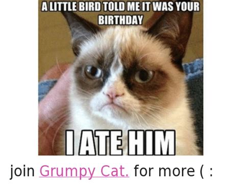 Funny Grumpy Cat Happy Birthday Memes Of 2017 On Sizzle