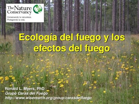 Ecología Del Fuego Y Los Efectos Del Fuego