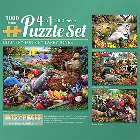 Bits And Pieces 4 In 1 Multi Pack 1000 Piece Jigsaw Puzzles For