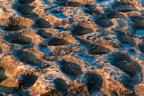 Round Holes With Water In Sedimentary Rock Stock Photo Image Of