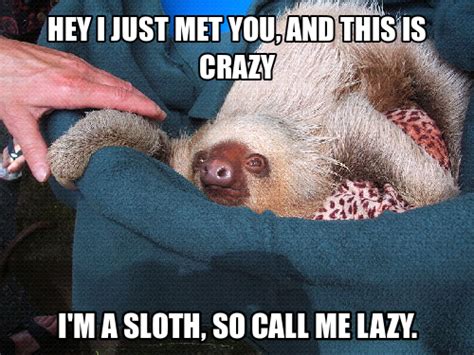 Slothmeme Sloth Jun 08 0820 Utc 2012 Sloth Meme Sloth Meme Funny
