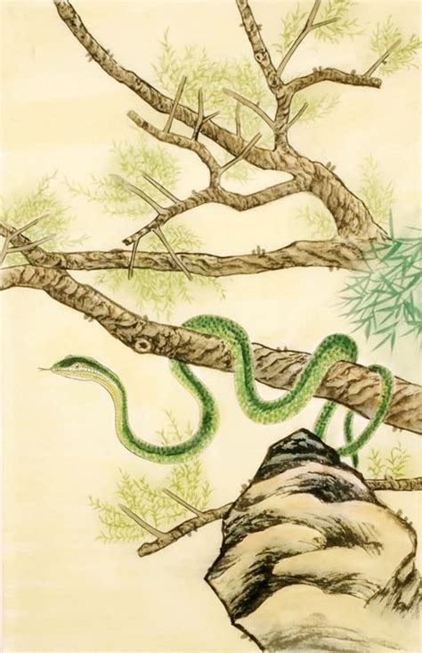 Chinese Snake Painting 4617004 69cm X 46cm27〃 X 18〃