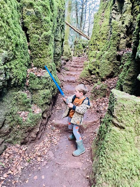 Magical Puzzlewood