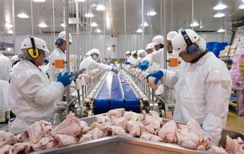 Tyson Foods Expands Georgia Poultry Processing Plant 2019 09 18