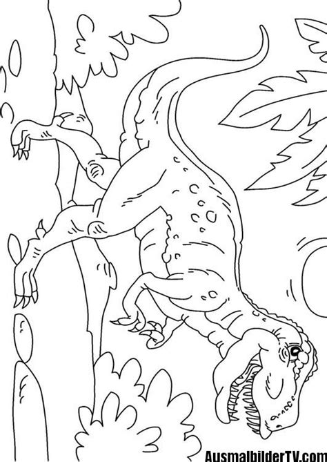 Von den dinosauriern sind heute nur noch knochen übrig geblieben und viele dinosaurier funde geben bis heute rätsel auf, wie denn die dinosaurier damals gelebt haben. t rex ausmalbild | Kostenlose ausmalbilder, Malvorlage ...