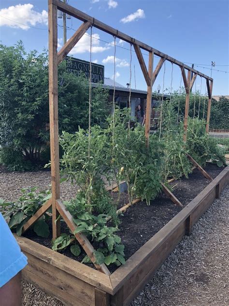 Tomato Trellises At Magnolia Silos In Waco Texas In 2020 With Images Vegetable Garden Design